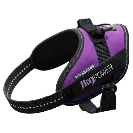 Julius - K9 IDC Powerharness Dark - high-quality harness for dogs, dark purple - Mini - Mini