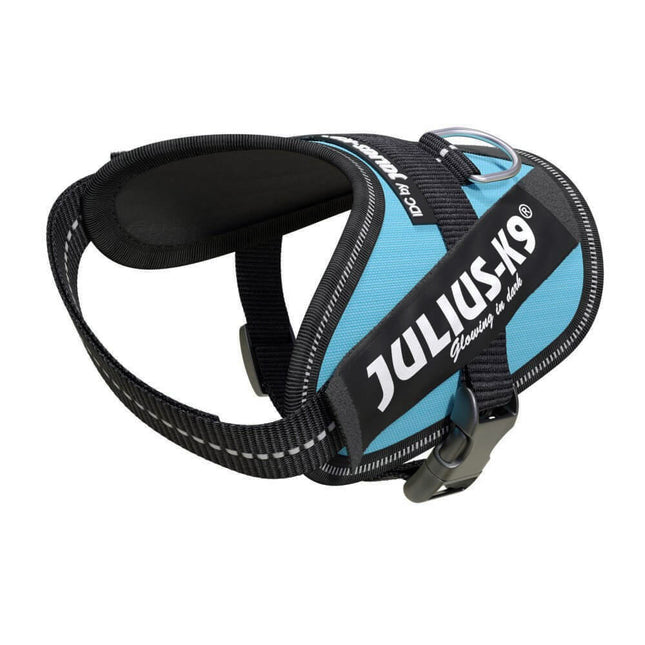 Julius - K9 IDC Powerharness Aquamarine - high-quality harness for dogs in