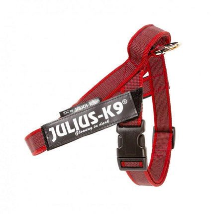 Julius - K9 IDC Color & Gray Belt Harness - harness for dogs - Mini - Mini