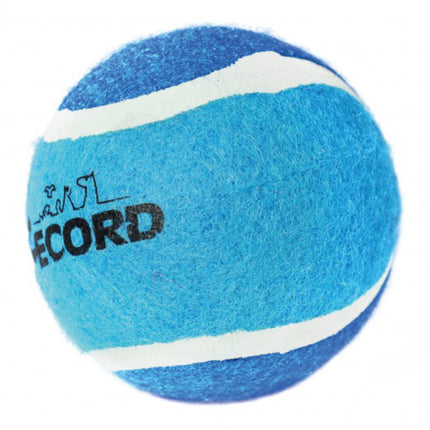 Record Dog's Tennis Ball - tennis ball for dogs