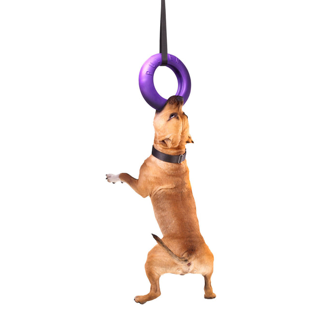 Puller Maxi 30cm 1pc - fetch toy for dogs, training toy