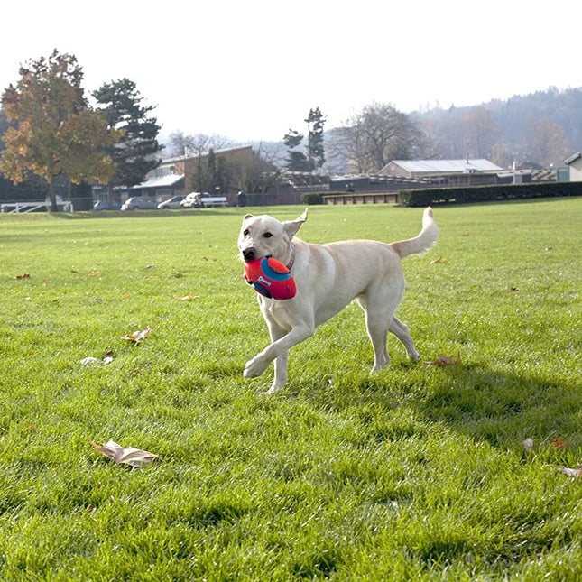 Chickit! Fumble Fetch Small - indestructible ball for dogs