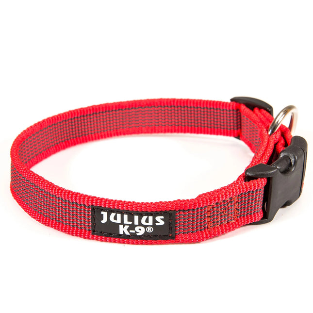 Julius K9 Color & Gray Collar - durable collar for dogs