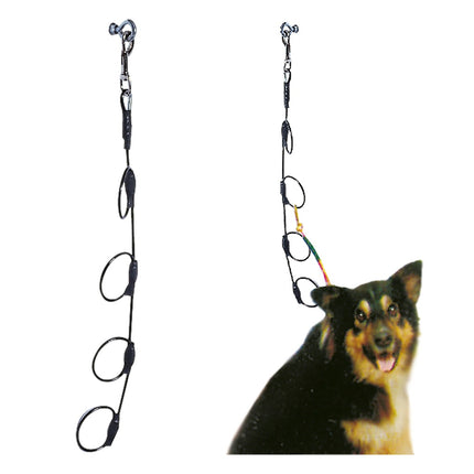 Blovi - vertical leash for multiple dogs