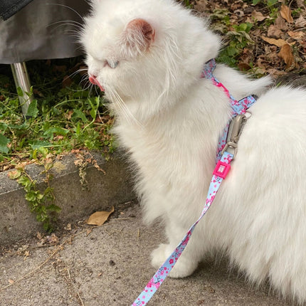 Max&Molly Cat Harness & Leash Cherry Bloom - harness and leash set for cats, cherry blossom pattern