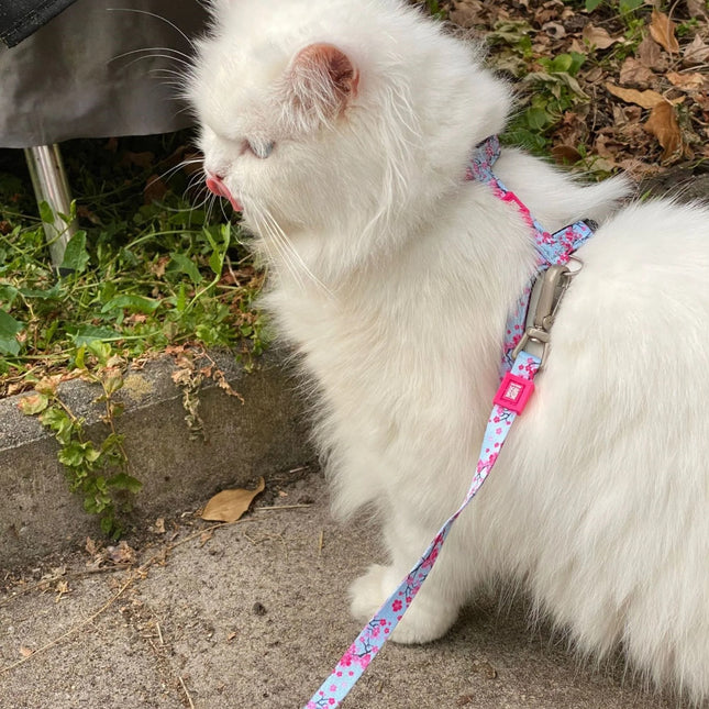 Max&Molly Cat Harness & Leash Cherry Bloom - harness and leash set for cats, cherry blossom pattern