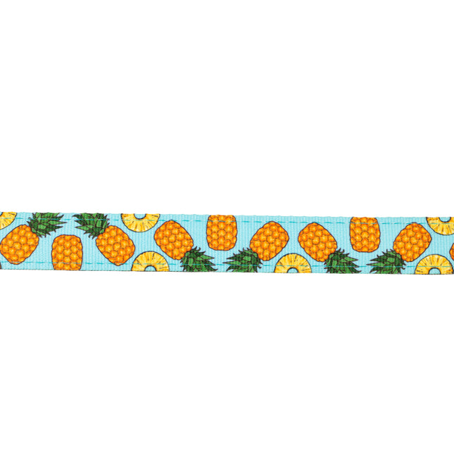 Max&Molly GOTCHA! Smart ID Cat Collar Sweet Pineapple - colorful collar for cats with a smart Tag pendant