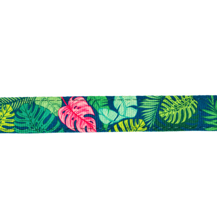 Max&Molly GOTCHA! Smart ID Cat Collar Tropical - colorful collar for cats with smart Tag pendant