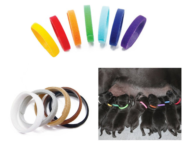 Doogy - colorful identification collars for puppies 12pcs