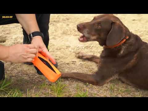 Julius - K9 Multidummie Double Hand - multifunctional tug toy for dogs, water toy