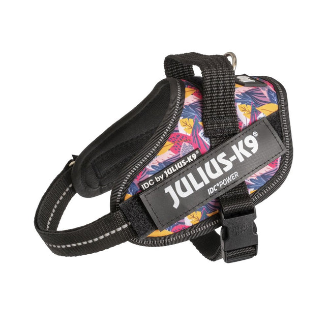 Julius - K9 IDC Powerharness Leaf2 - high-quality harness for dogs with an interesting design - Mini - Mini