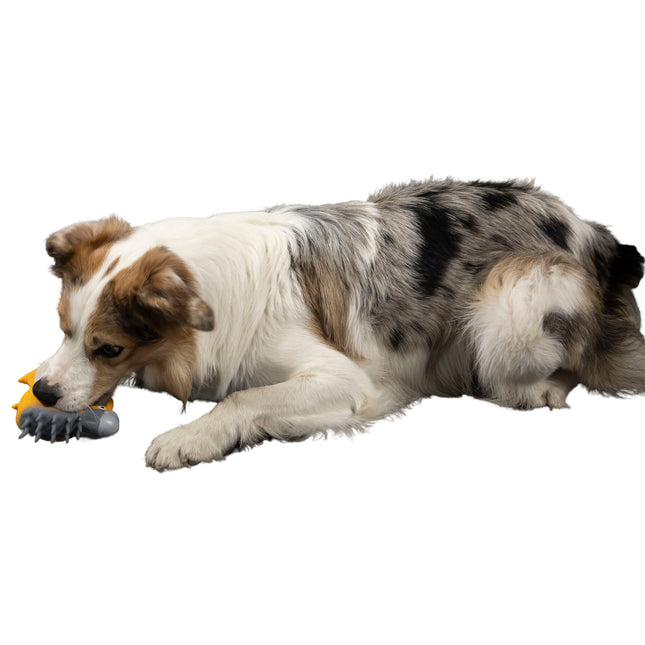 Kiwi Walker Character Knight - squeaky toy for dogs, knight