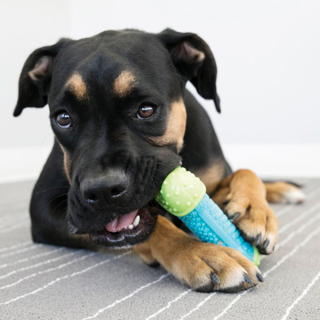 KONG CoreStrength - rubber bone for dogs, with a reinforced core