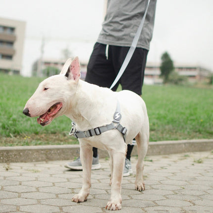 Dashi Solid Front Harness Grey - Norwegian-style harness for dogs, no-pull