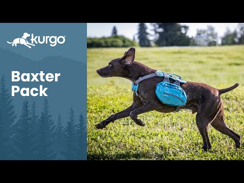 Kurgo Big Baxter Backpack 7.5L - saddlebags for large and giant dogs