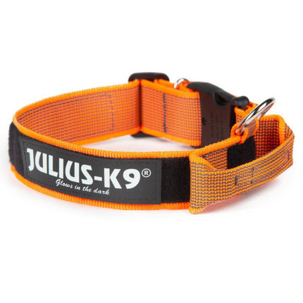 Julius K9 Color&Gray Collar with Handle - dog collar with handle and safety lock