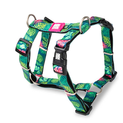 Max&Molly H - Tropical Harness - colorful adjustable harness for dogs and puppies