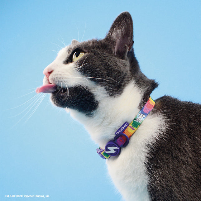 Dashi Betty You Cat Collar - cat collar, Betty Boop pattern, multicolored