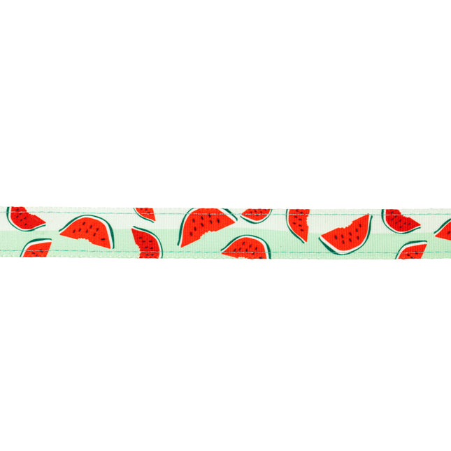 Max&Molly GOTCHA! Smart ID Cat Collar Watermelon - colorful collar for cats with a smart Tag pendant