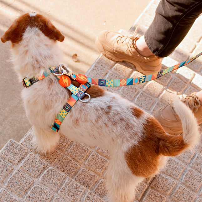 Dashi Terracotta Back Harness - adjustable guard harness for dogs, colorful mosaic pattern