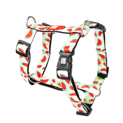 Max&Molly H - Watermelon Harness - colorful harnesses for dogs and puppies, adjustable