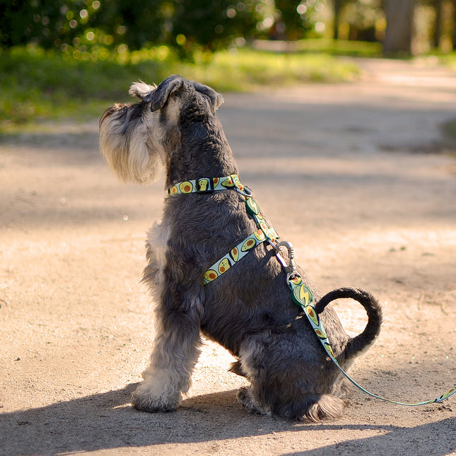 Dashi Avocado Back Harness - adjustable guard harness for dogs, avocado pattern