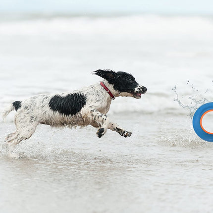 Chuckit! Hydro Roller - water play ring for dogs