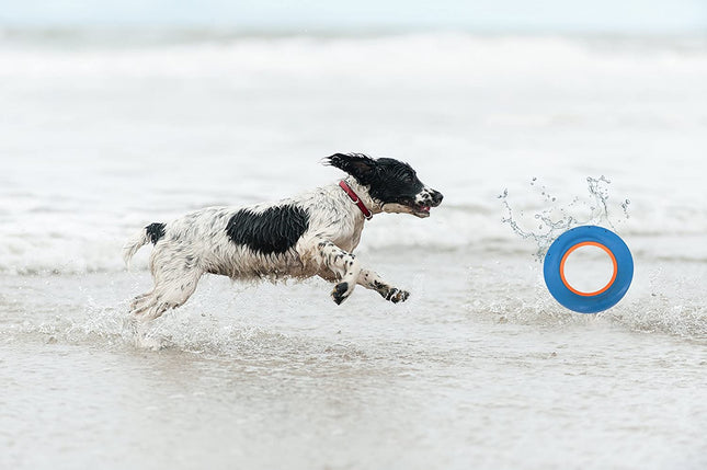 Chuckit! Hydro Roller - water play ring for dogs