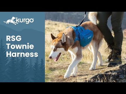 Kurgo RSG Pack Pannier - dog saddlebag