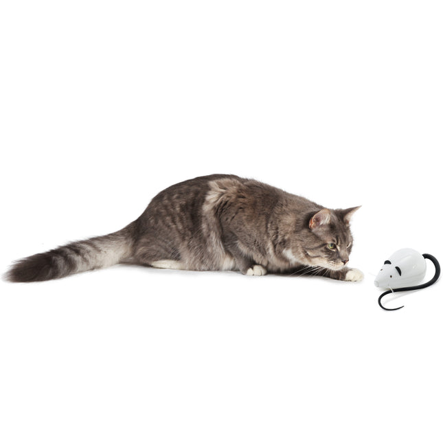 PetSafe RoloRat Automatic Cat Teaser - interactive toy for cats, mouse with timer programmer