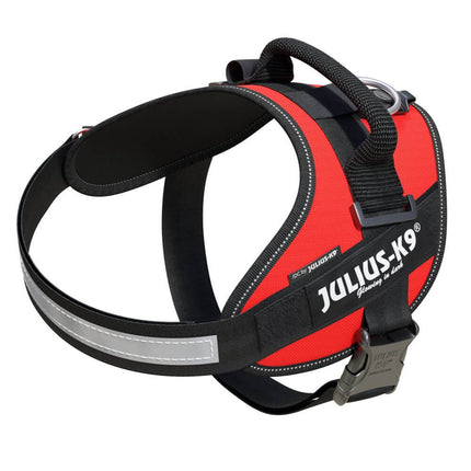 Julius - K9 IDC Powerharness - high-quality harness for dogs