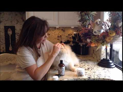 Eye Envy Cat Starter Kit Small Brush - eye stain removal cosmetic kit for cats, with a brush