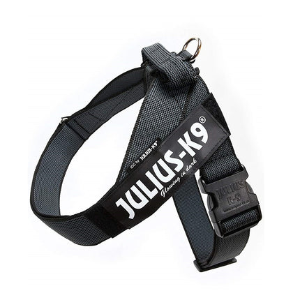 Julius - K9 IDC Color & Gray Belt Harness - dog harness, belt harness