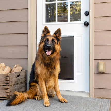 PetSafe Extreme Weather Aluminium Pet Door - Insulated Door for Dogs and Cats, Metal, Reinforced