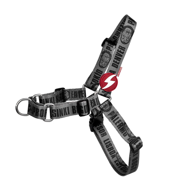 Dashi La Casa De Papel Melted Front Harness - Norwegian harness for dogs, inspired by the series Money Heist, graphite color