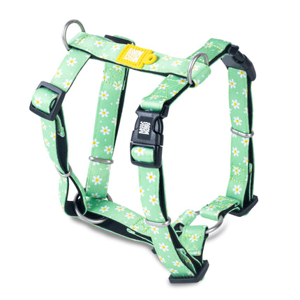 Max&Molly H - Margarite Harness - colorful harnesses for dogs and puppies, adjustable