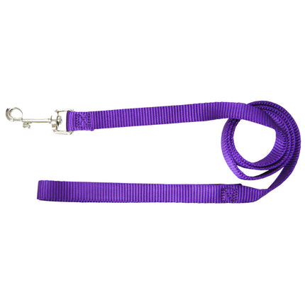 Hamilton Single Thick Short Leash - nylon leash for small breed dogs, width 16mm, length