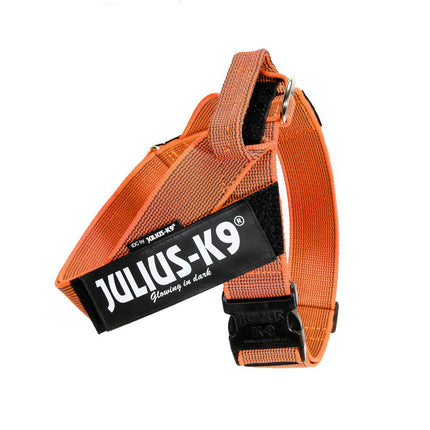 Julius - K9 IDC Color & Gray Belt Harness - dog harness, belt harness