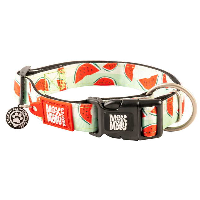 Max & Molly GOTCHA! Smart ID Watermelon Collar - collar with smart Tag for dogs