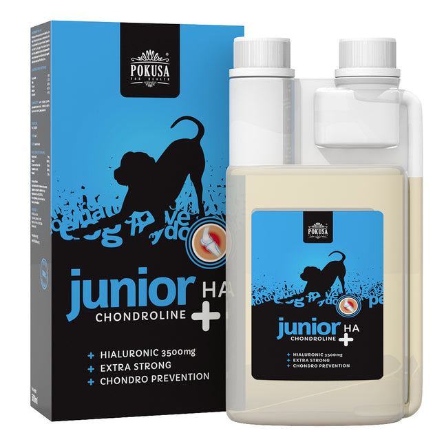 Pokusa ChondroLine Junior HA - liquid supplement supporting joint function in puppies, with hyaluronic acid