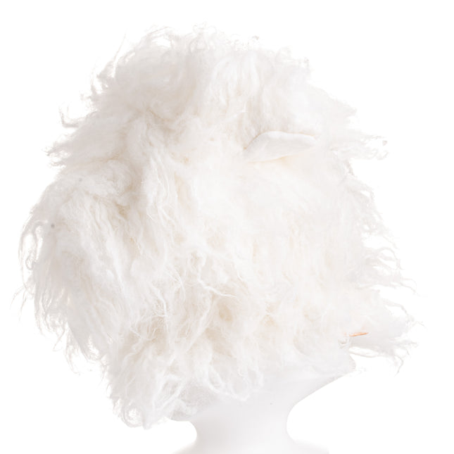 Mr. Jiang Bichon Head Hair - interchangeable fur for Bichon grooming head