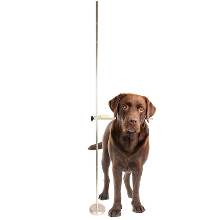 Show Tech Professional Adjustable Dog Measuring Stick - professional canine measuring tool