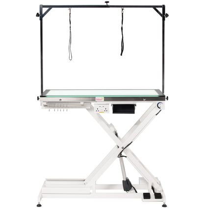 Blovi Luminous Pro 120x65 - professional grooming table with a lift and illuminated glass LED top